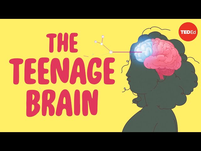 Www Bd Schoolsexvideo Com - What sex ed doesn't tell you about your brain - Shannon Odell - YouTube