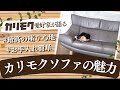 【ソファ選び】カリモク愛好家が絶賛する「カリモクソファ」の魅力｜座り心地抜群でお手入れも簡単