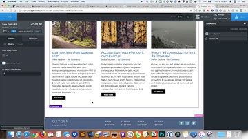 Using offset in Easy Posts element in Oxygen