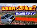 【2026年版】日産サクラで富山200kmドライブ!無料充電だけで行く「あさひ舟川 春の四重奏」が絶景すぎた