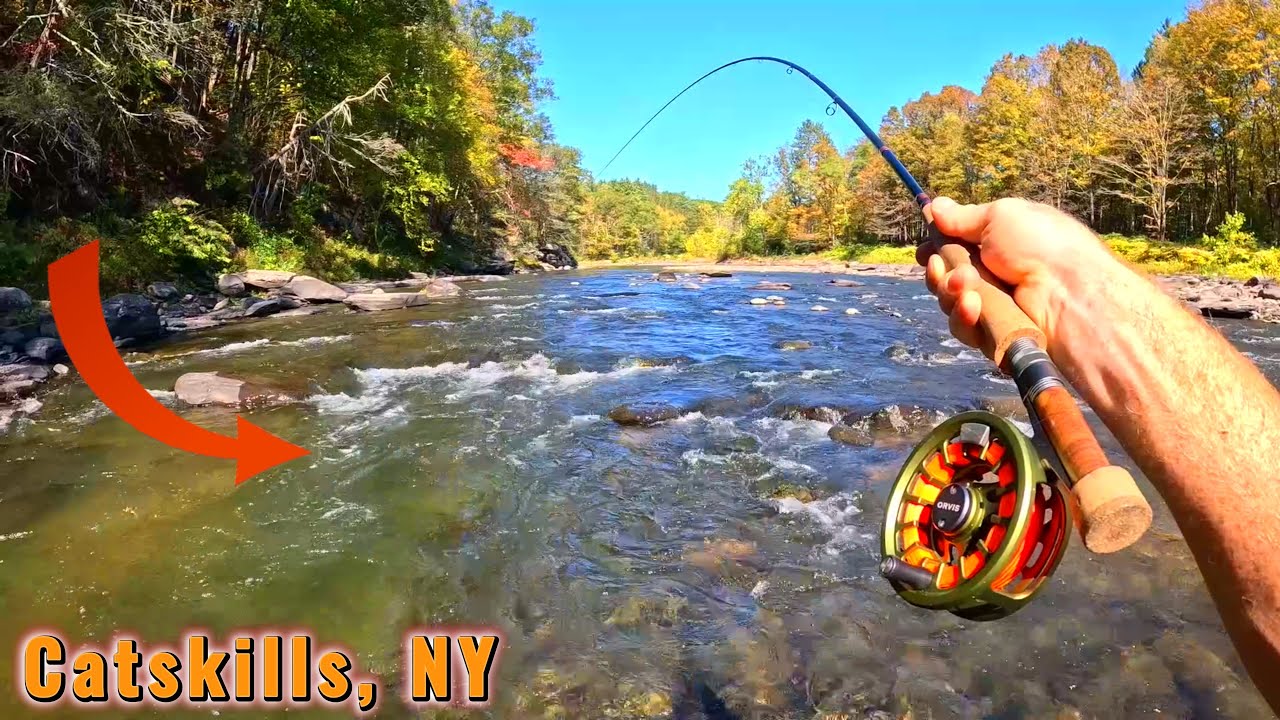 *НОВЫЙ РЕКОРД* Гигантская форель поймана при отливе | Ловля рыбы нахлыстом в Кэтскилле