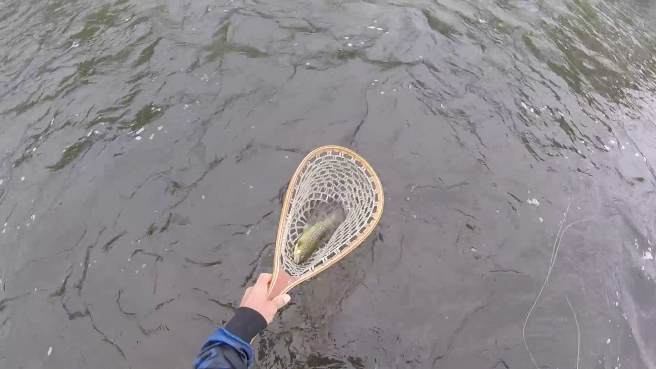 "FLYFISHING MY LOCAL HOME WATERS", Part 1, Late April 2017 YouTube