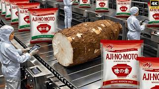 How MSG is Made from Cassava | Inside a Modern Food Factory Process (Step-by-Step)