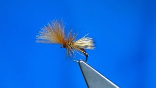 Tying a Cinnamon Emerger Caddis by Davie McPhail