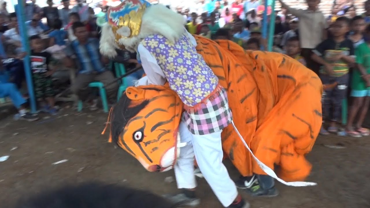 AKSI TARUNGAN MACAN DENGAN KERA BUROK CINTA NADA SHOW PAMULIHAN