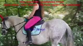 Chur Tourismus - Graubünden Ferien Alpine Rhine Chur Tourism - The Swiss Alpine City, Graubünden