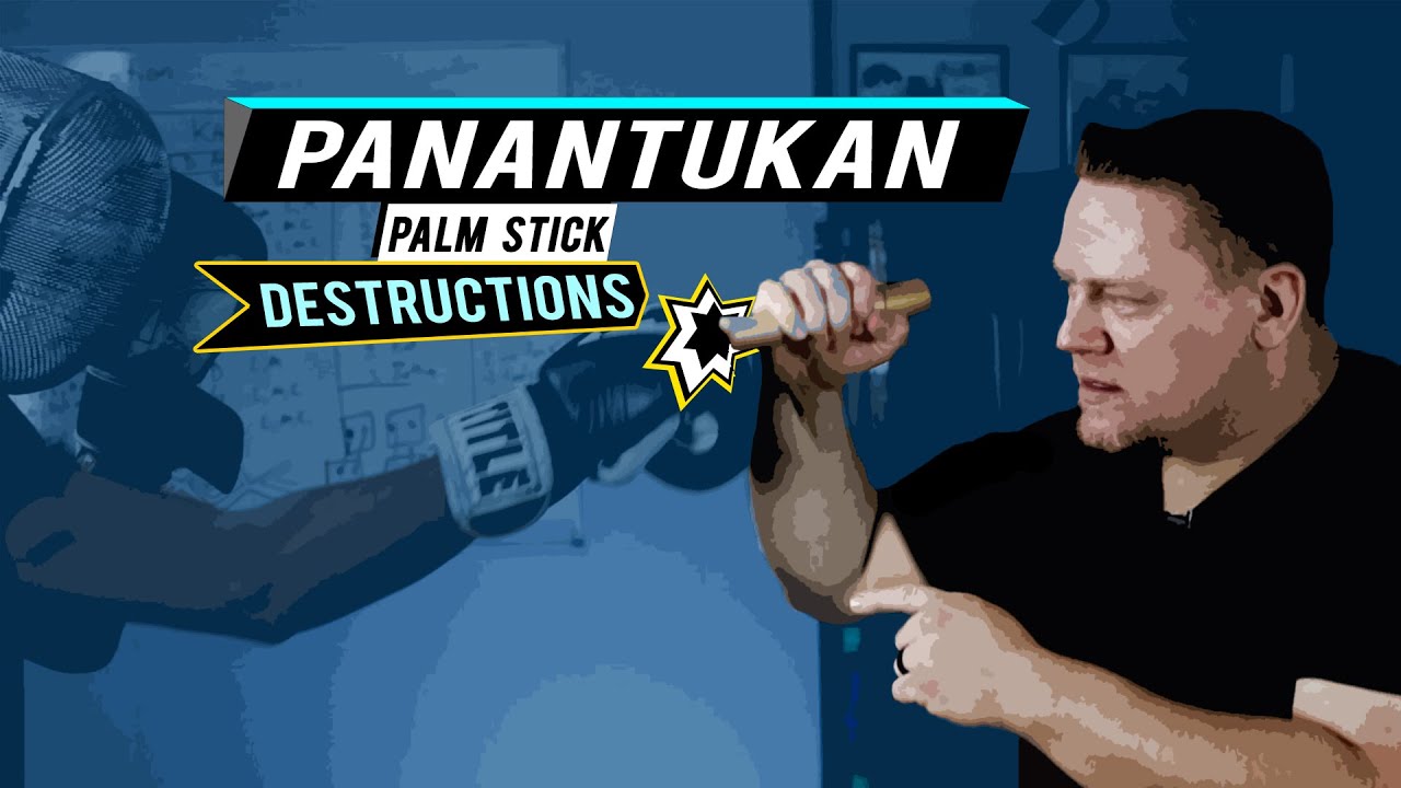 Panantukan - Palm Stick Destructions | Sean Elders