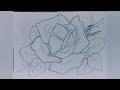 Como desenhar uma rosa realista
