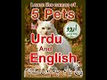 5      پانچ پالتو جانوروں کے اردو اور انگریزی نام  5    