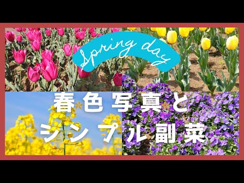 【簡単料理】春色写真とシンプルな菜の花の副菜【シンプルレシピ】