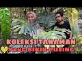 Tanaman koleksi kebun karawaci yang bikin pusing  ep 18