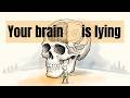 Your Brain Is Running Prehistoric Software. Here's How to Fix It.