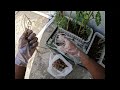 How to Clean Garden After One Month Vacation | Satisfying Garden Cleanup | theWingman