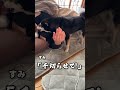 起こしたる