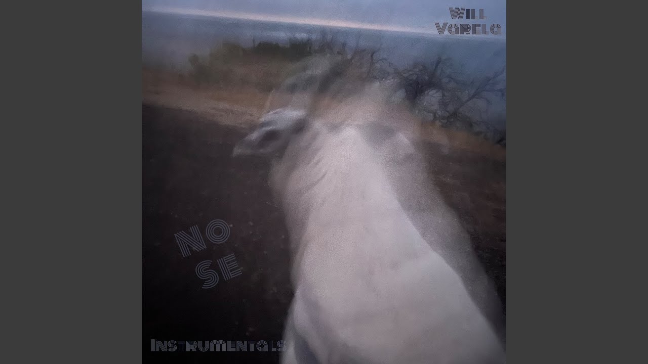 The Strangest Secret in the World YouTube