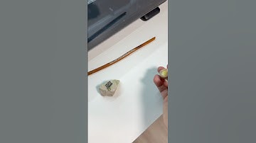 UV Printing on a Rock and Stick? 🤯 #eufyMake #eufyMakeE1 #shorts #3dprinting #diy