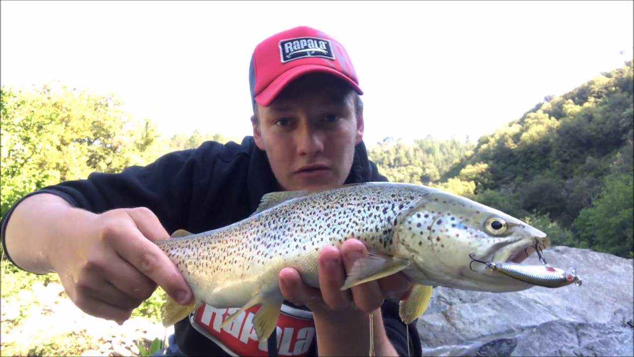 Pêche de la truite aux leurres en Ardèche YouTube