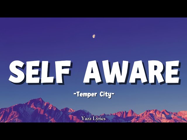Self Aware ft,-Temper City- | Lyrics Music