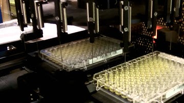 Lab automation- Dual Destination Nest Colony Picking