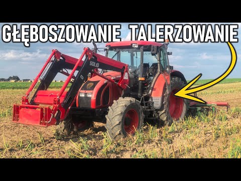 GŁĘBOSZOWANIE & TALERZOWANIE PO RZEPAKU😁🌱|| Zetor & John Deere || DZIEŃ U JANKUSA #9