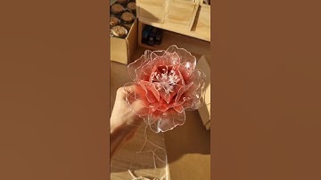 Làm hoa từ vỏ chai nhựa #handmade #diy #taiche #taichenhua
