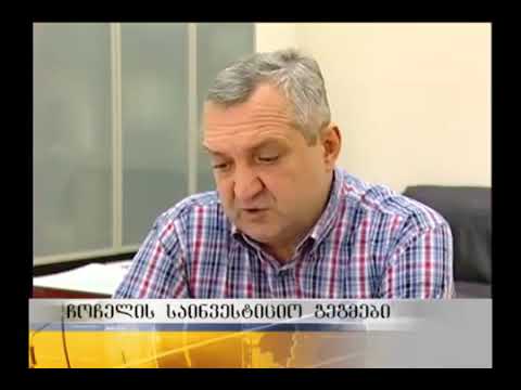 ცეზარ ჩოჩელის საინვესტიციო გეგმები
