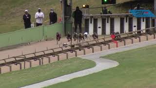 HVL SUN 29 NOV 20 R11