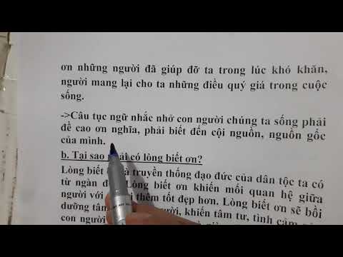 Video Đề 1 Văn 7 Chứng minh người Việt Nam ta luôn sống theo... - youtube