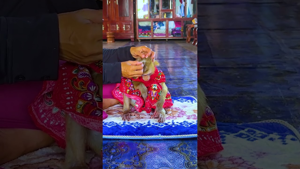 Lola Warm Comfy Sister Lola To Take A NAp