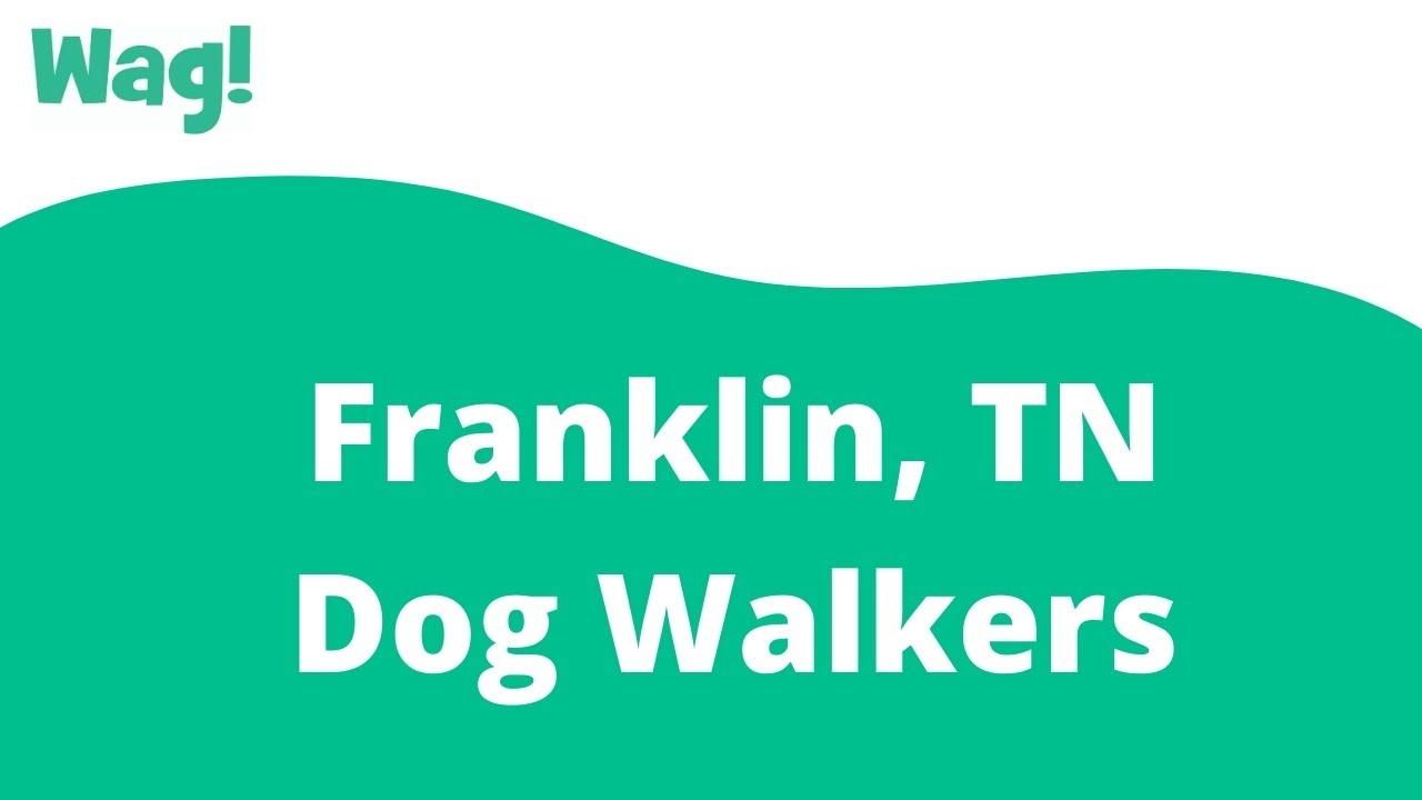Franklin, TN Dog Walkers Wag! YouTube