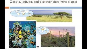 AP Biology Intro to Ecology and Biosphere Notes and Video
