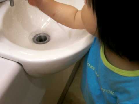 水遊びの動画