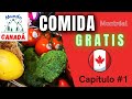 La VIDA en CANADÁ. Food Banks. Capítulo 1 | ¿Cómo hacer el súper mercado sin dinero?