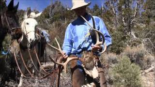 Mark Kayser Cleave Dwire Talk About Mountain Lion Predation