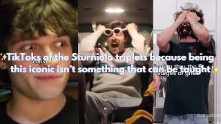TikToks of the Sturniolo triplets because being this iconic isn’t something that can be taught