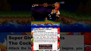 U Can Beat Video Games - Super Ghouls n Ghosts - The Cockatrice