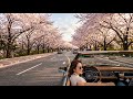 [Playlist] 봄 드라이브 #BeachDrive #海ドライブ #DriveNaPraia #बीचड्र이브  #SummerVibes #RoadTrip #OceanBreeze