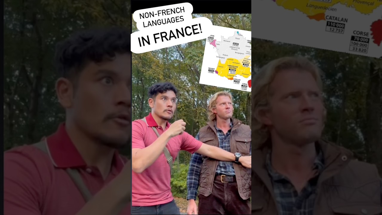 Non-French languages native to France