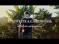 Aproveite a caminhada  um filme sobre caf e agrofloresta