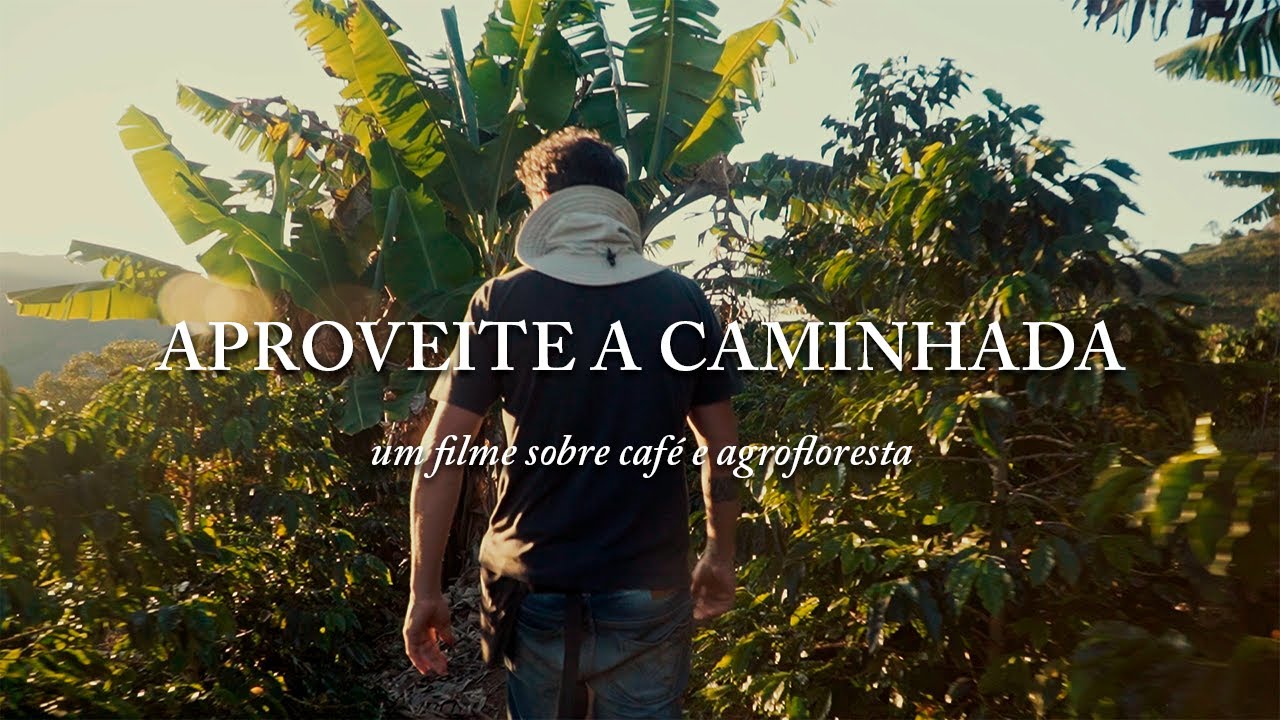 Aproveite a Caminhada - Um filme sobre café e agrofloresta.