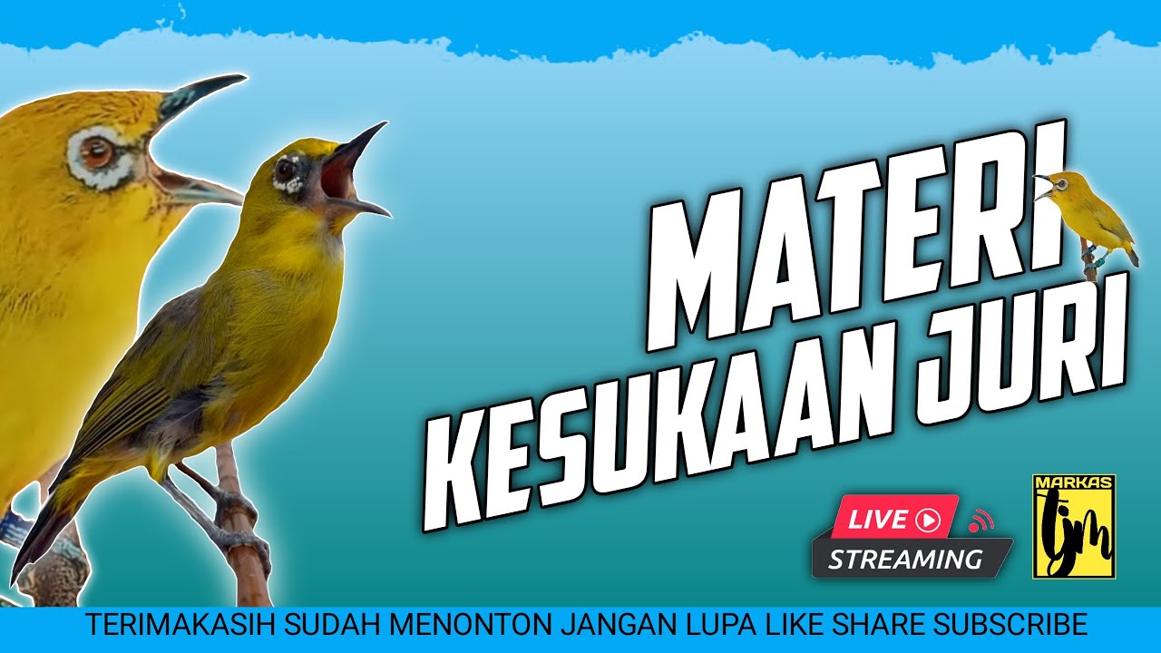 🔴  LIVE masteran pleci materi paling disukai juri