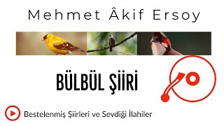 Mehmet Akif Er En Güzel Şiirlerinden Bülbül Bestelenmiş Şiir Ve Ilahileri