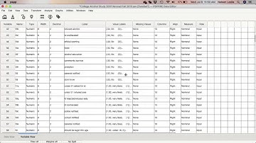 Introduction to the PSPP/SPSS Menu