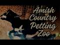 Hershberger Farm Amish Petting Zoo Millersburg Ohio