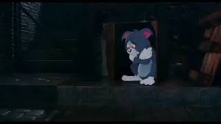Tom Sad Whatsapp Status Crying Short Video