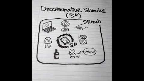 ABA Terminology: What is a discriminative stimulus (SD)?