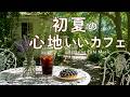 途中広告なし【カフェBGM】初夏の心地いいカフェ｜ゆったり大人のカフェ時間｜作業用・読書・リラックス