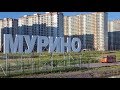 МУРИНО(ПИТЕР) ИЮЛЬ 2019,ПРОГУЛКА.