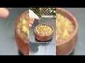 Plant propagation hacks #gardening