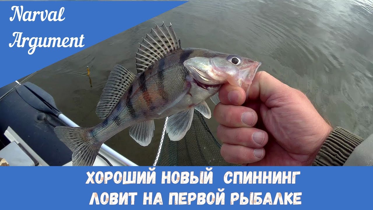 Хороший новый спиннинг ловит на первой рыбалке!!! Narval Argument 76MMH